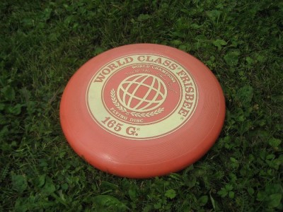 Frisbee On Ground