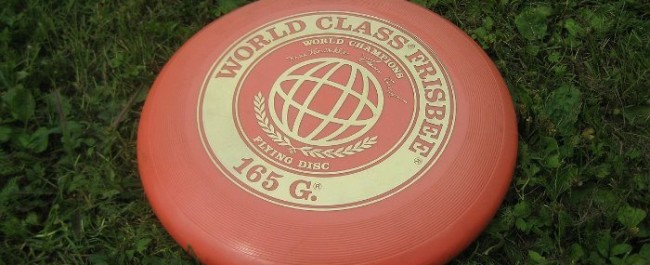 Frisbee On Ground