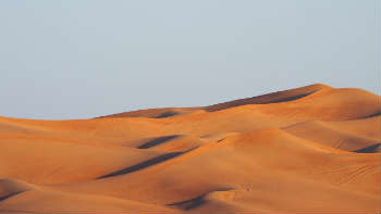 Arabian desert